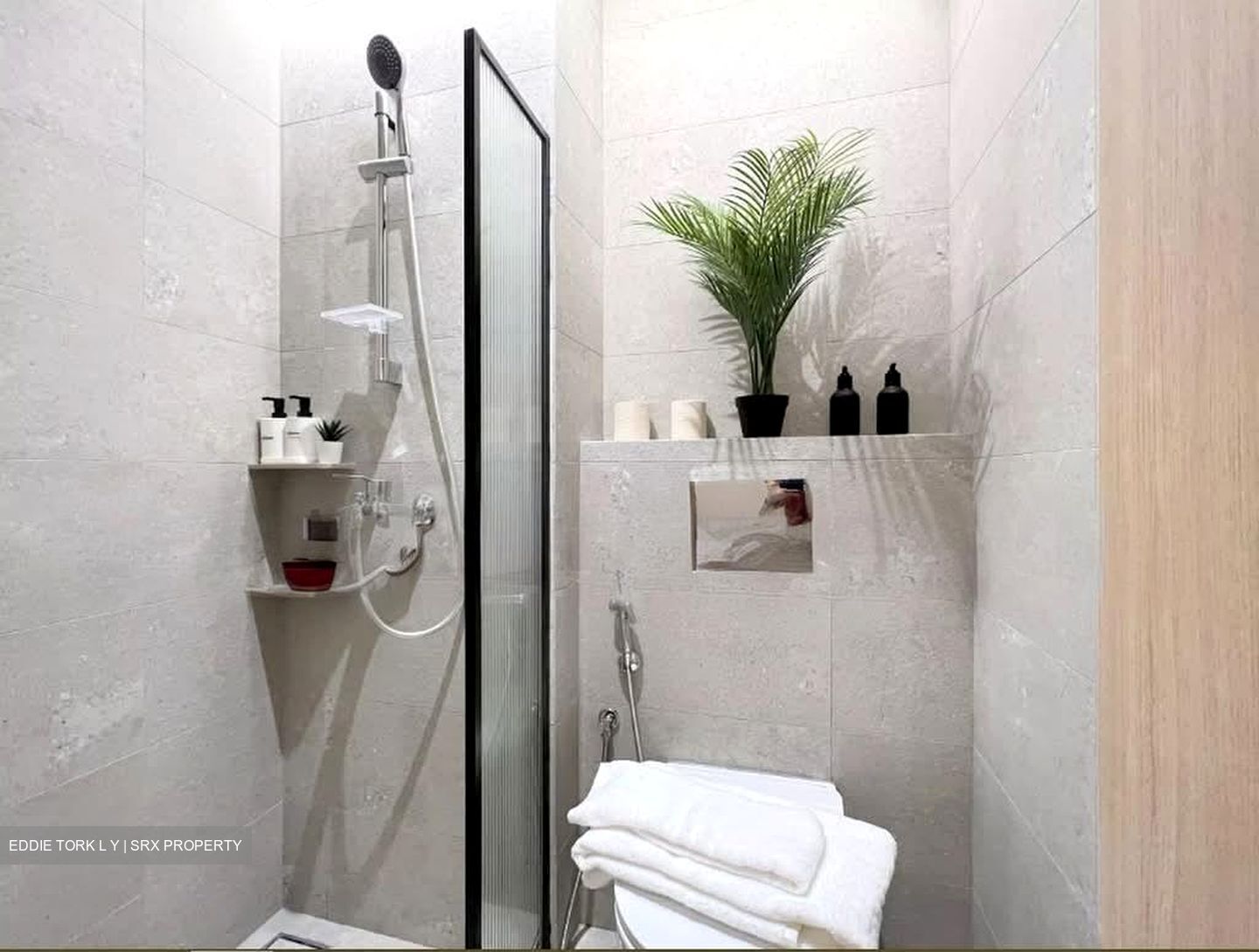 Mount Elizabeth Link (D9), Apartment #598679501